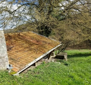 Balade champêtre en Argonne - Châtel-Chéhéry - 3