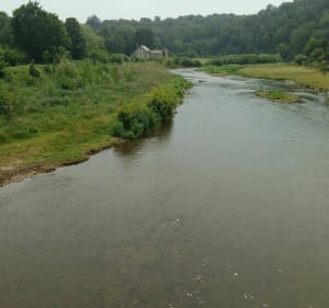 De Sainte Suzanne sur Vire à la chapelle sur Vire - Sainte-Suzanne-sur-Vire - 3