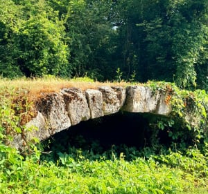 Saint-Paul-de-Varax et la beauté de ses paysages - Saint-Paul-de-Varax - 3