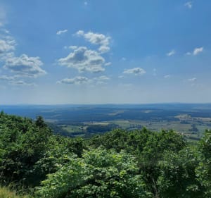 Le Bois de Mancey, par le col de Navois - Claude - 3