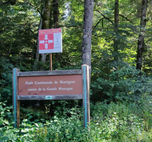 Balade aux héoliennes d'Apremont - Bellignat - 4