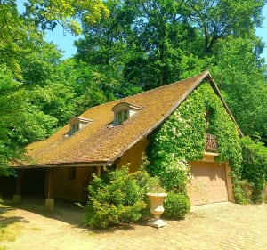 Charmante visite à l'Île Verte et l'Arborètum - Châtillon - 3