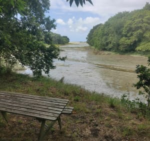 Boucle autour de Mer Blanche en passant par la chapelle Saint-Sébastien - Fouesnant - 4