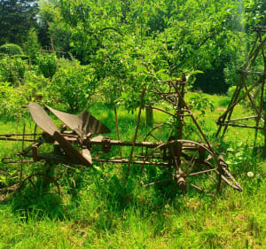 Charmante visite à l'Île Verte et l'Arborètum - Châtillon - 4