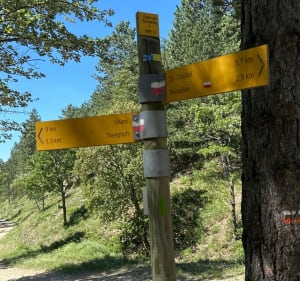 Sentier des Aiguiers à Saint-Saturnin-lès-Apt - Saint-Saturnin-lès-Apt - 3