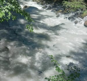 Sentier au fil de l'eau depuis Les Brames - Les Allues - 4