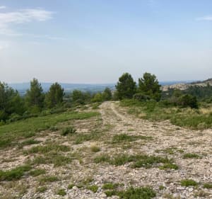 Marche matinale à San Salvador - Tarascon - 3