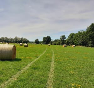 Route de Bresse à Rancy - Rancy - 3