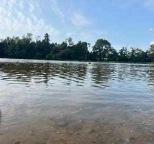 Promenade autour du château des Pères à Piré-sur-Seiche - Piré-Chancé - 4