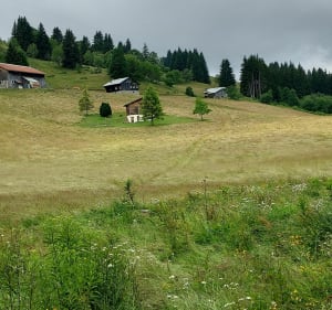 Découverte de l'alpage d'Agy en été - Morillon - 3
