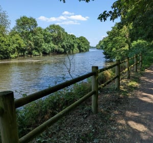 Promenade aux  bord de la Mayenne - Avrillé - 3