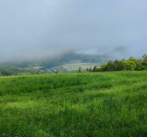 Rando au départ des Moulinots - Argentat-sur-Dordogne - 4