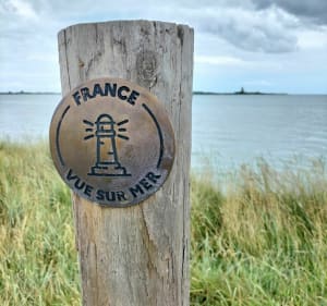 En vue moussaillon depuis Saint-Vaast-la-Hougue - Saint-Vaast-la-Hougue - 3