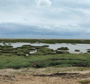 En vue moussaillon depuis Saint-Vaast-la-Hougue - Saint-Vaast-la-Hougue - 4