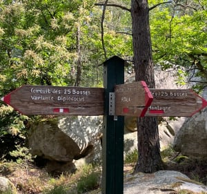 Het 25 hobbelcircuit - Le Vaudoué - 3