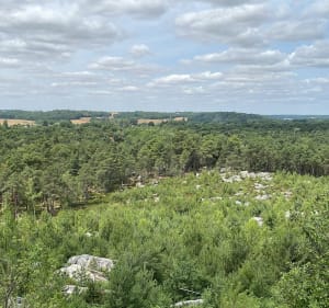 Het 25 hobbelcircuit - Le Vaudoué - 5