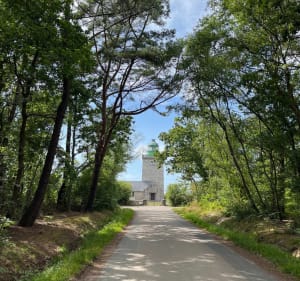 De Sainte Marguerite sur Mer à Vasterival par le Phare d'Ailly - Sainte-Marguerite-sur-Mer - 5