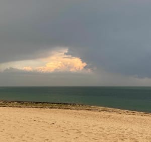 Découverte de l’Ile de Ré - Le Bois-Plage-en-Ré - 3