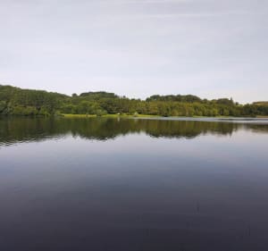 Balade autour du lac du Broussau - Aire-sur-l'Adour - 3