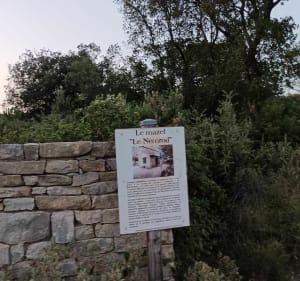 Balade en garrigue nimoise - David - 4