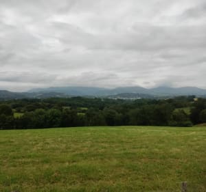 Paysage Basque par Bas Cambo et Halsou à vélo - Jatxou - 4