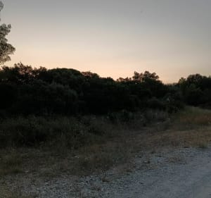 Balade en garrigue nimoise - David - 5
