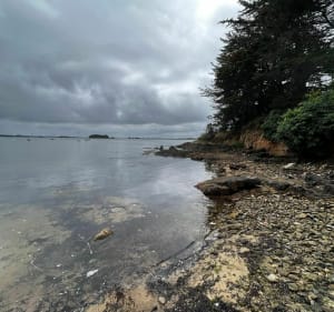 Découverte de l'Île aux Moines à vélo - Île-aux-Moines - 3