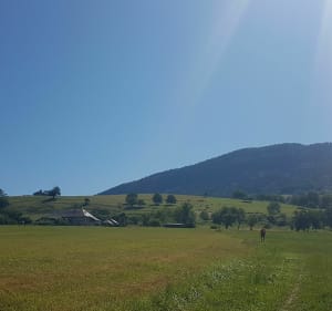 Boucle du Laudon et balade sur sentiers balisés à Saint-Jorioz - Saint-Jorioz - 4