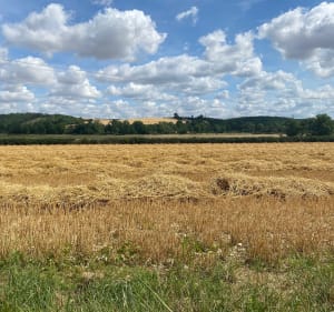 Randonnée aux alentours du Môlay, par Sainte-Vertu - Molay - 4