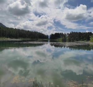 Montée au lac des Barbeyroux - Saint-Bonnet-en-Champsaur - 3