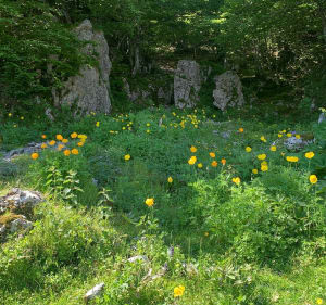 Pic des Tourelles 2038 m - Genevieve - 4