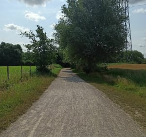 Randonnée vers le Lac du Héron - Villeneuve-d'Ascq - 3