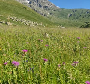 Lac des Quirlies - Clavans-en-Haut-Oisans - 3