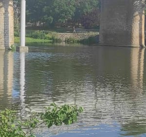 Wandel langs de oevers van de Cher, langs de loopbruggen - Tours - 4