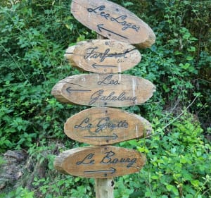 Balade dans la forêt de Juigné-des-Moutiers - Juigné-des-Moutiers - 4