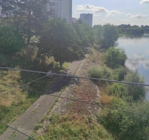 Wandel langs de oevers van de Cher, langs de loopbruggen - Tours - 5
