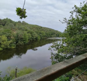 Pen Mur-vijver - Muzillac - 4