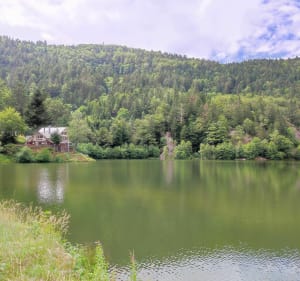 Lac de Neuweiher - Rimbach-prés-Masevaux - 4
