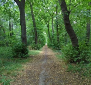Autour du Jardin d'acclimatation à Neuilly-sur-Seine - Neuilly-sur-Seine - 3