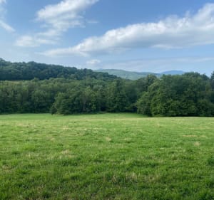 Entre petites routes, chemins et forêts à Entrelacs. - Entrelacs - 4
