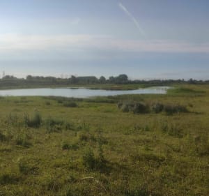 VTT facile autour de Gravelines - Gravelines - 5