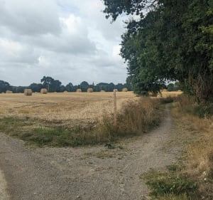 Bol d'air en campagne au sud de Rennes - Bourgbarré - 5