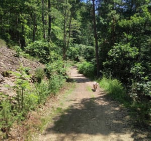 Boucle bois de Trevas - Les Villettes - 3