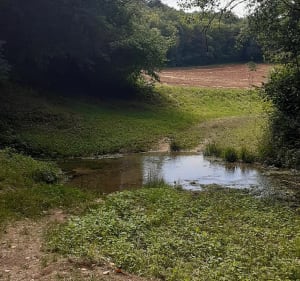 Source de l'Oisy et forêt de Trucy - Trucy-l'Orgueilleux - 3