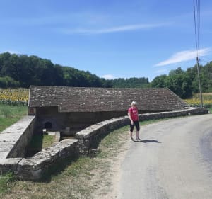 Source de l'Oisy et forêt de Trucy - Trucy-l'Orgueilleux - 4