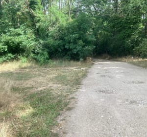Entre champs et forêt de Folleville depuis les Maisons Brulées - Saint-Hilaire-Saint-Mesmin - 4