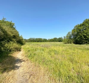 Balade entre forêt et bords de Seine depuis Rosny sur Seine - Max - 2