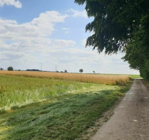Balade en plaine de Warluzel - Warluzel - 3