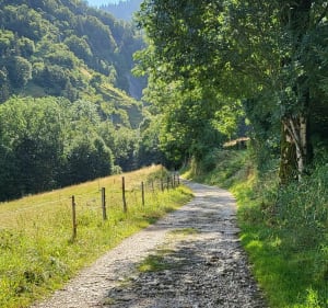 La cascade d'Autrans - Autrans-Méaudre en Vercors - 4