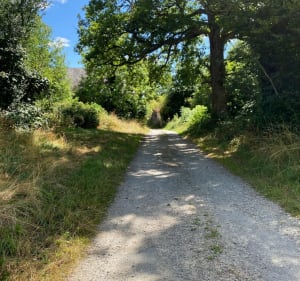 Randonnée de Dontreix et de ses environs - Dontreix - 4